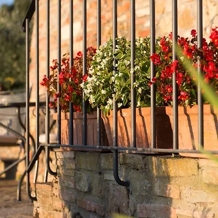 Il Coltro Guest House San Gimignano Exterior photo