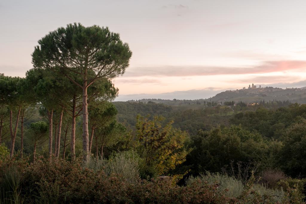 Il Coltro Country house San Gimignano